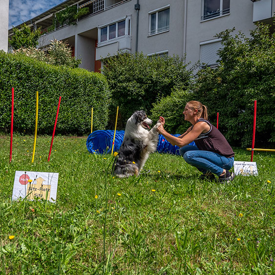 Rally Obedience | Paw Partner